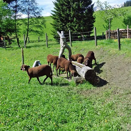 Almliesl Gast 202 Bad Hofgastein